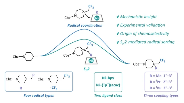 Table-of-contents graphic of the 2026 Inorganic Chemistry paper on radical sorting in nickel catalysis