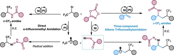 Table-of-contents graphic, J. Am. Chem. Soc. 2026