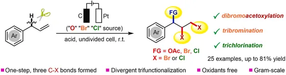 Table-of-contents graphic, Tetrahedron Chem 2024