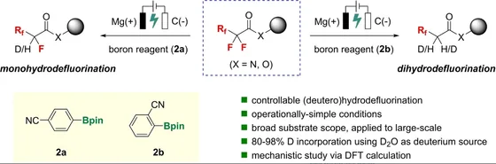 Table-of-contents graphic, Angew. Chem. Int. Ed. 2023