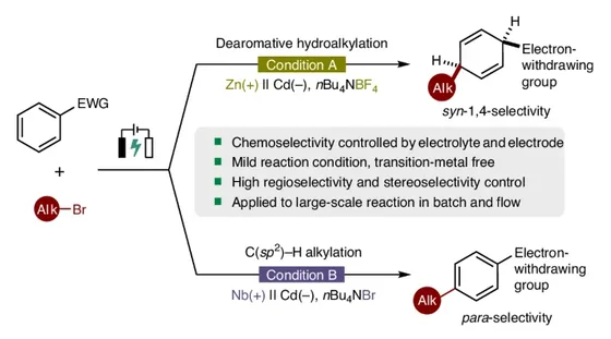 Table-of-contents graphic, Nat. Chem. 2026