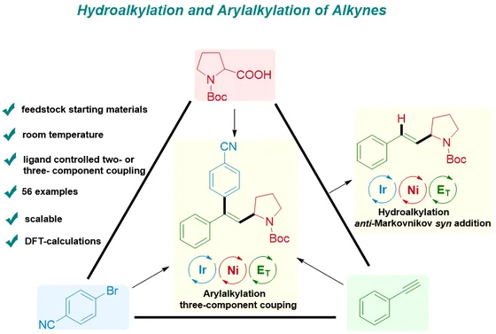 Table-of-contents graphic, Angew. Chem. Int. Ed. 2020