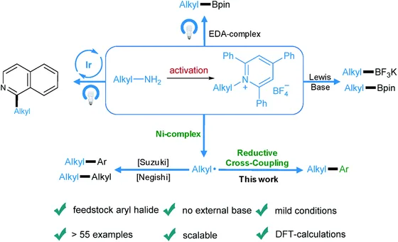 Table-of-contents graphic, Chem. Sci. 2019