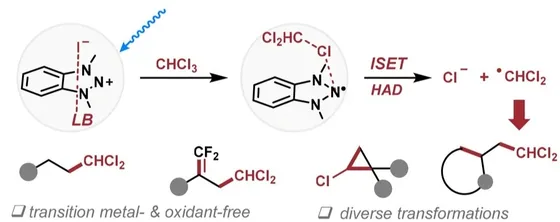 Table-of-contents graphic, Org. Chem. Front. 2024