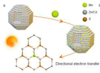 Table-of-contents graphic, Angew. Chem. Int. Ed. 2023