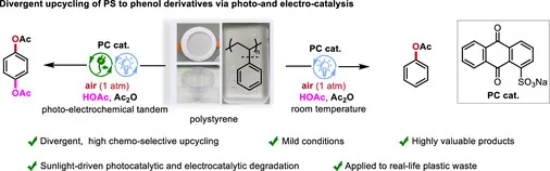 Table-of-contents graphic, Angew. Chem. Int. Ed. 2025
